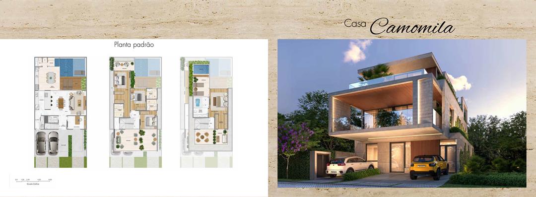 Planta 6