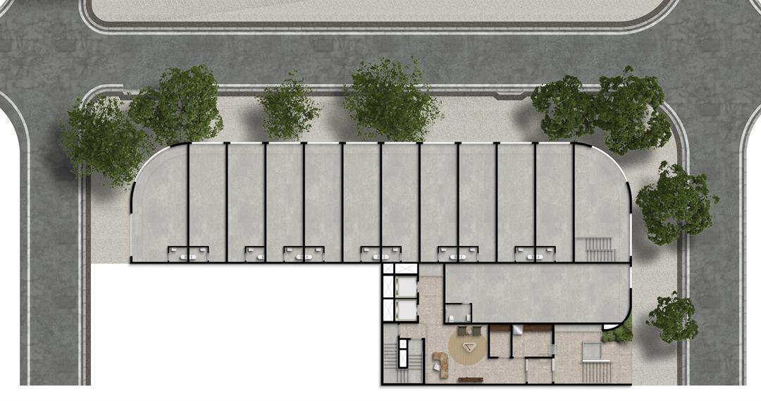 Planta 10