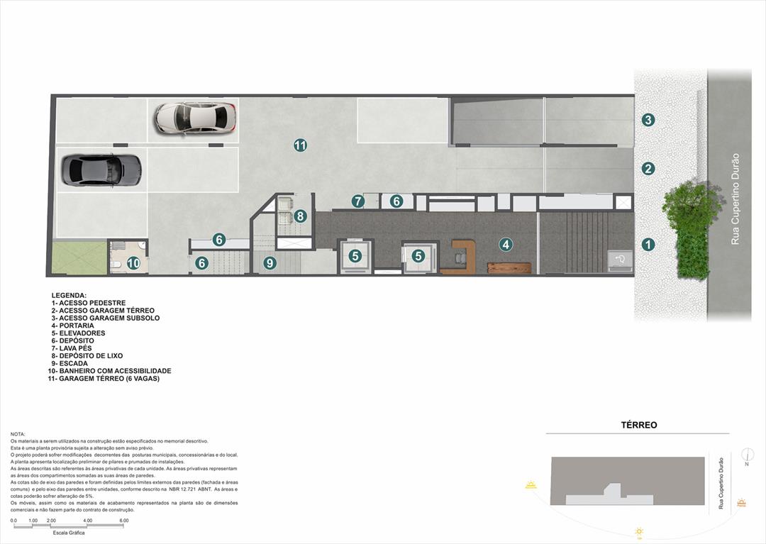 Planta 5