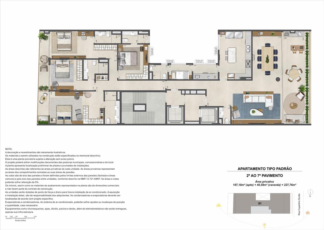 Planta 6