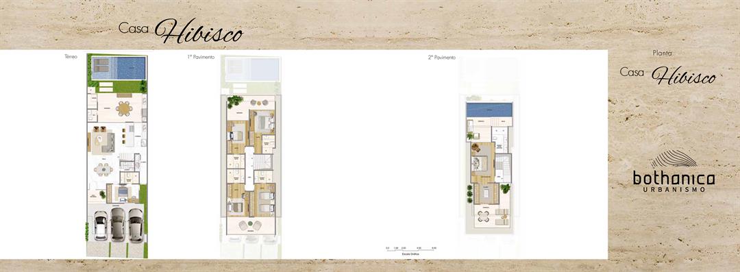 Planta 7