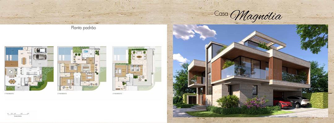 Planta 10