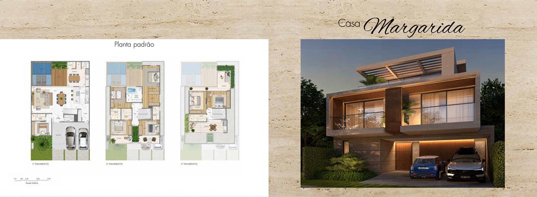 Planta 8