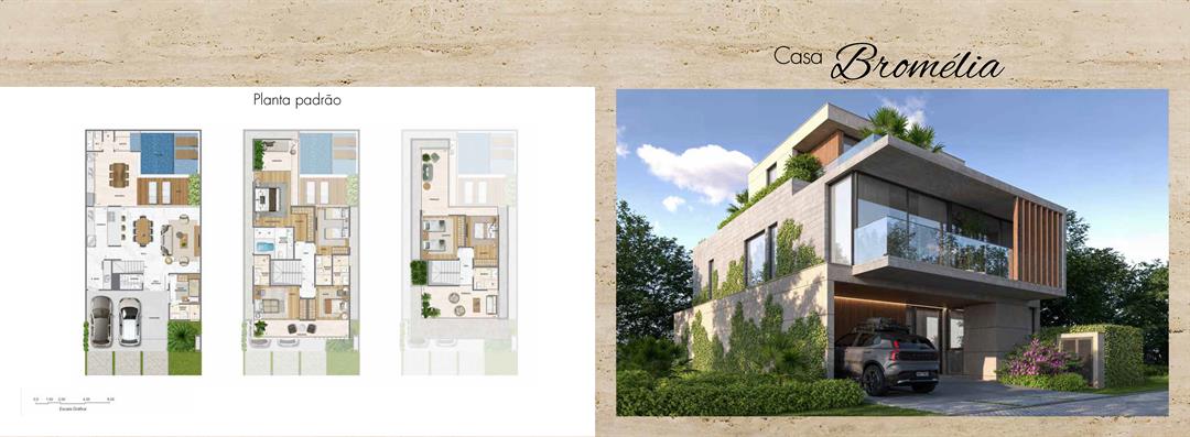 Planta 4